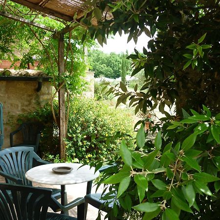 Agriturismo Apparita Montecastelli Pisano Oda fotoğraf