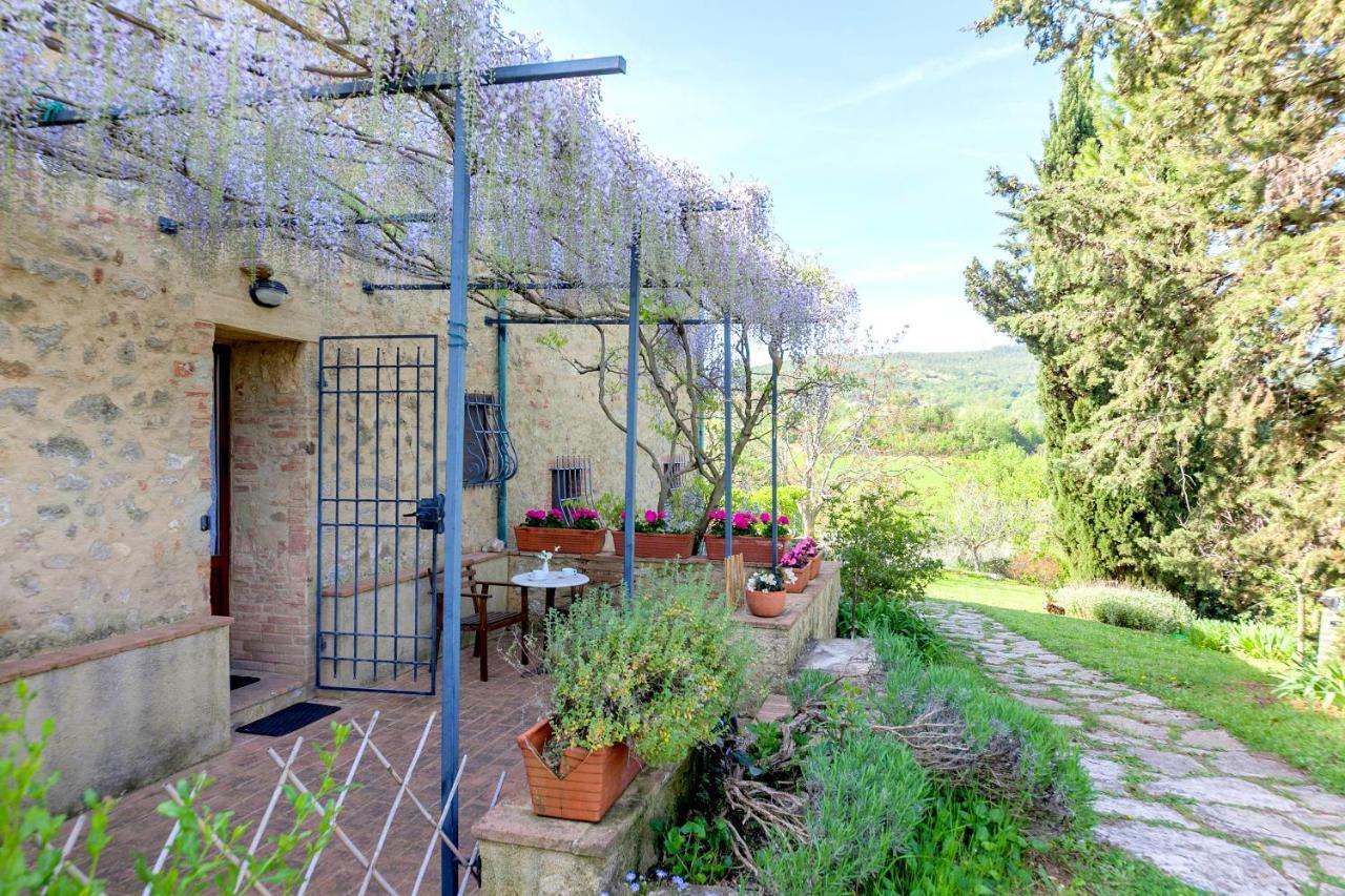 Agriturismo Apparita Montecastelli Pisano Dış mekan fotoğraf