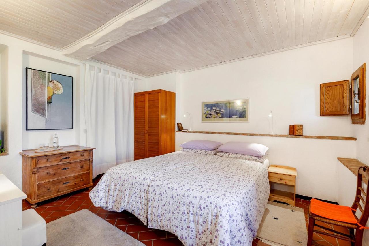 Agriturismo Apparita Montecastelli Pisano Dış mekan fotoğraf