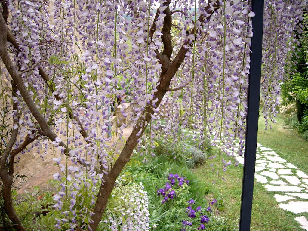 Agriturismo Apparita Montecastelli Pisano Dış mekan fotoğraf