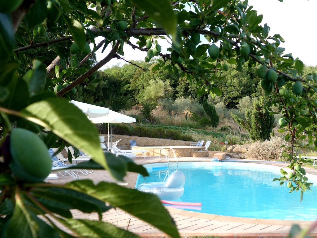 Agriturismo Apparita Montecastelli Pisano Dış mekan fotoğraf