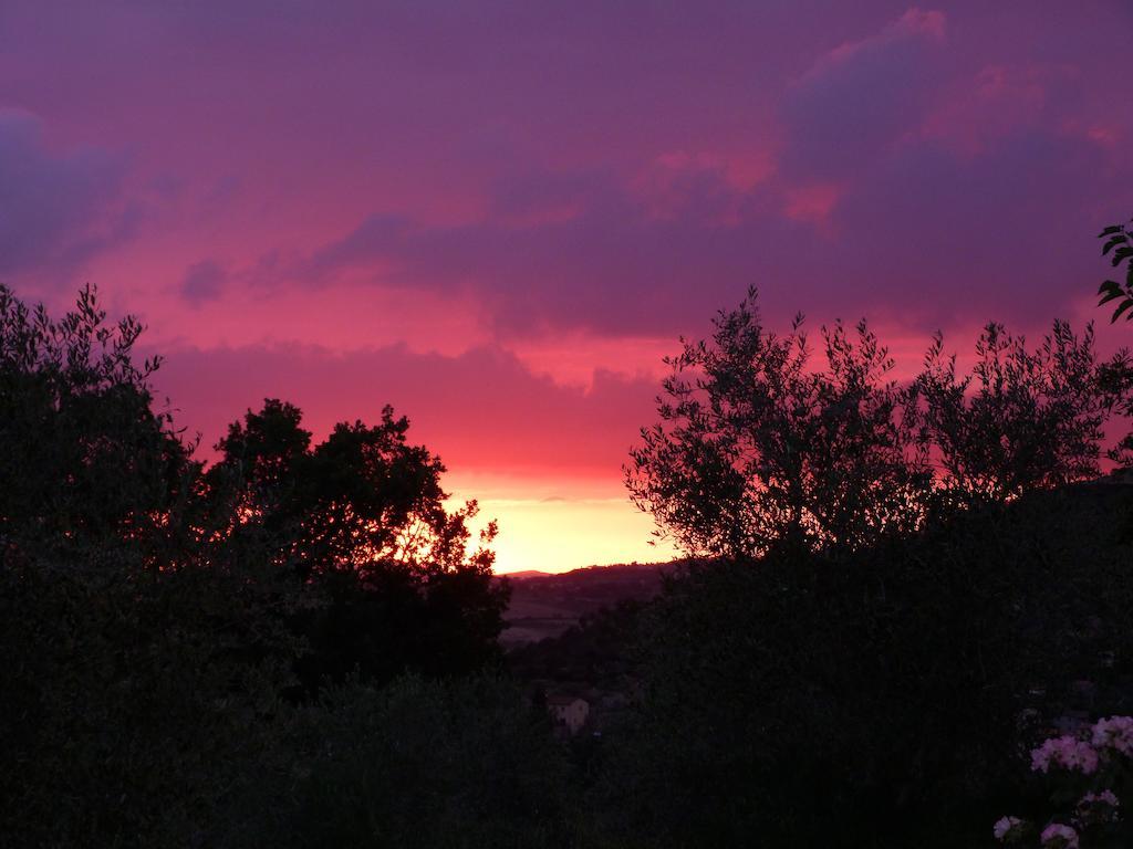 Agriturismo Apparita Montecastelli Pisano Dış mekan fotoğraf