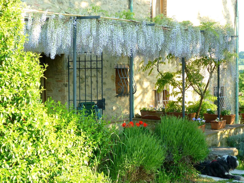 Agriturismo Apparita Montecastelli Pisano Dış mekan fotoğraf