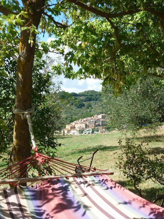 Agriturismo Apparita Montecastelli Pisano Dış mekan fotoğraf