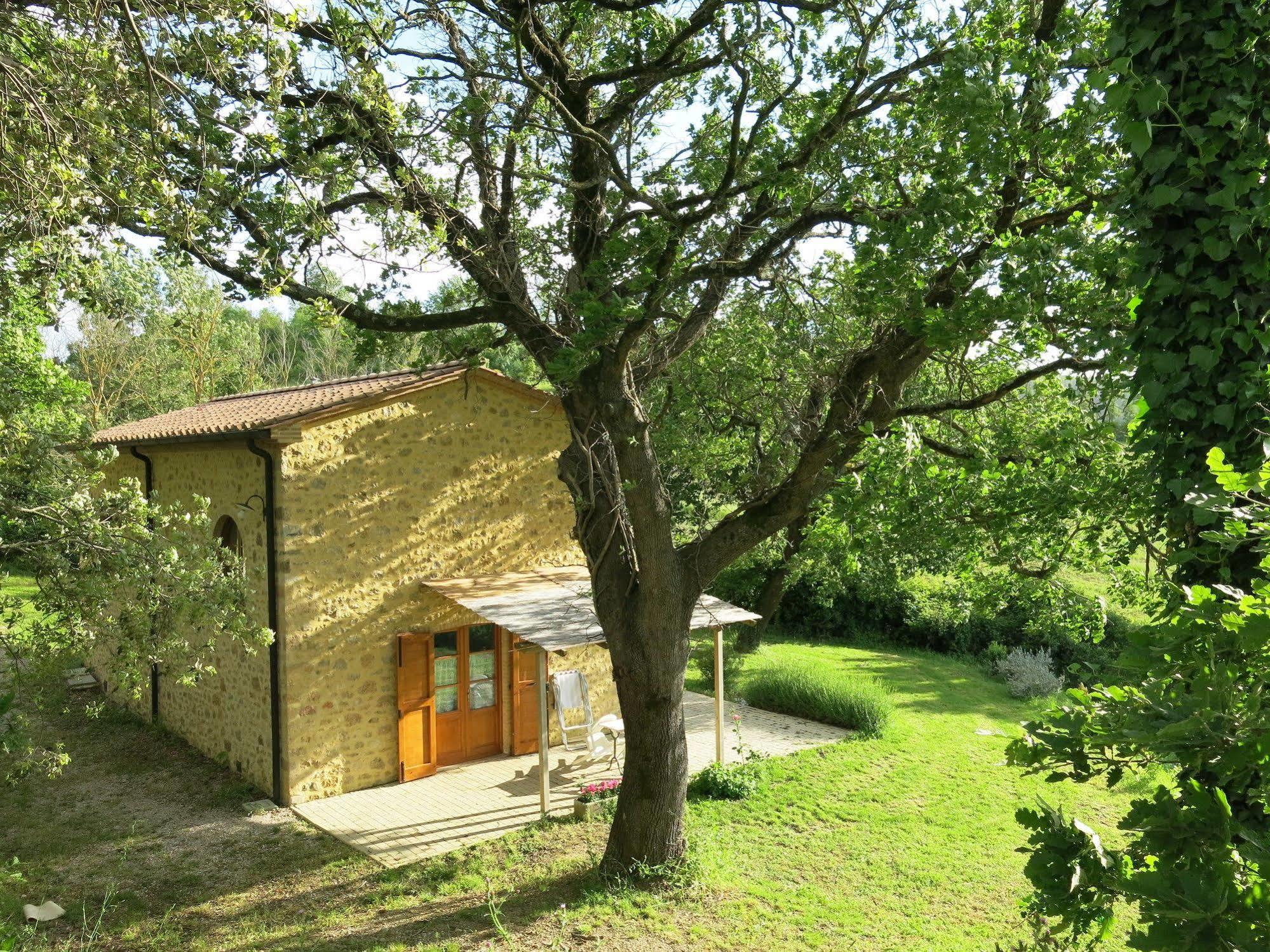 Agriturismo Apparita Montecastelli Pisano Dış mekan fotoğraf