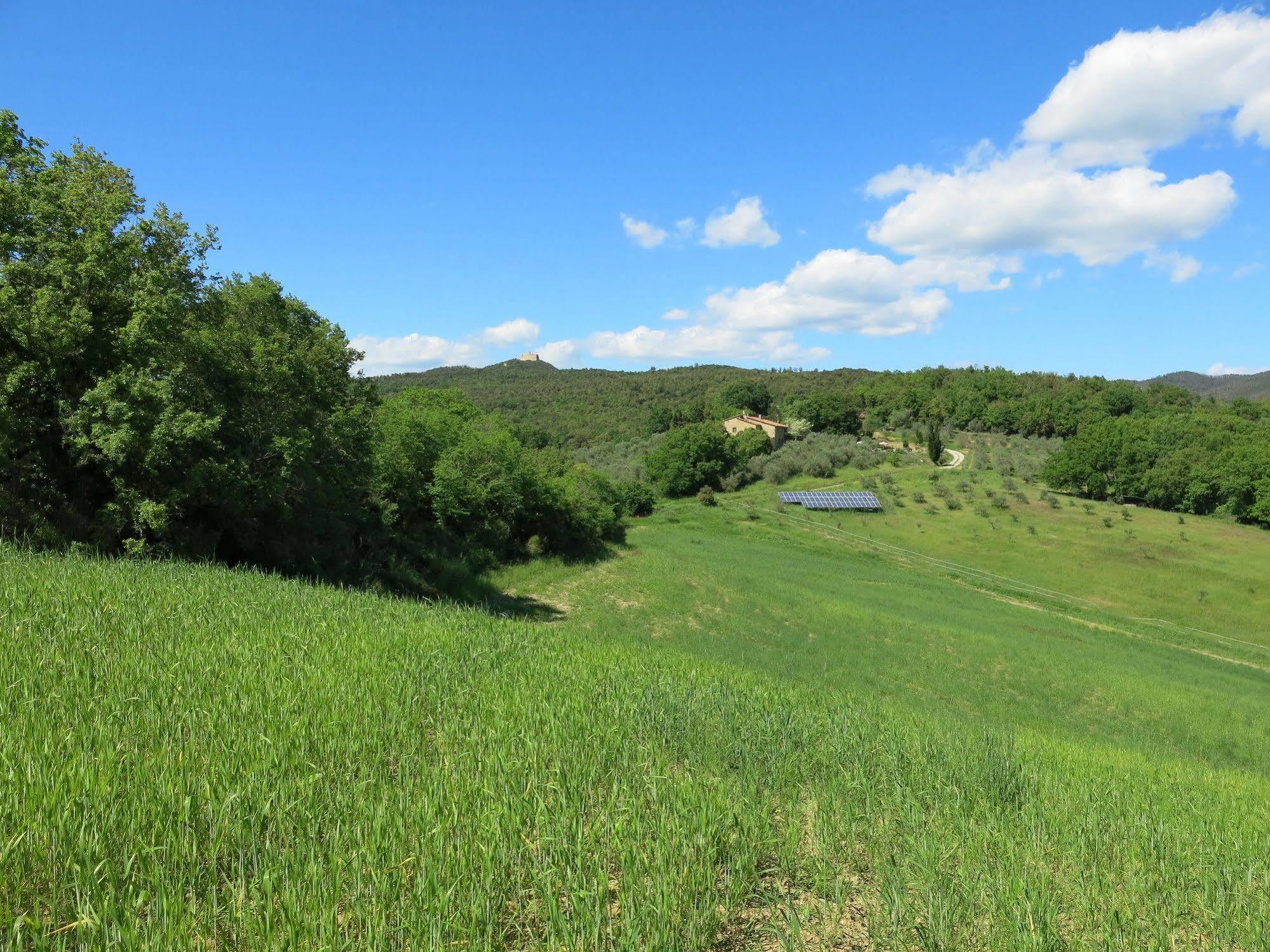 Agriturismo Apparita Montecastelli Pisano Dış mekan fotoğraf